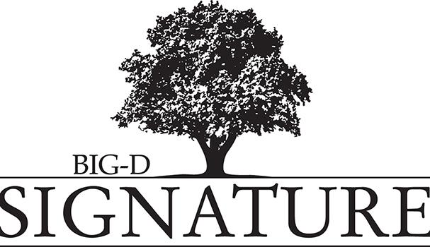 Big-D signature logo